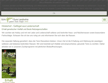 Tablet Screenshot of landimpulse.de